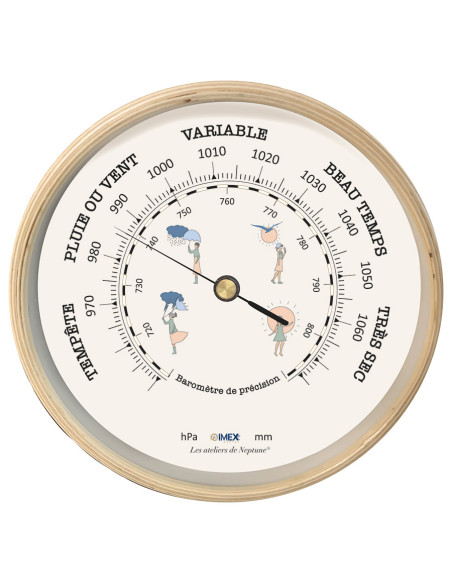 BAROMETER IN A WOODEN CASE