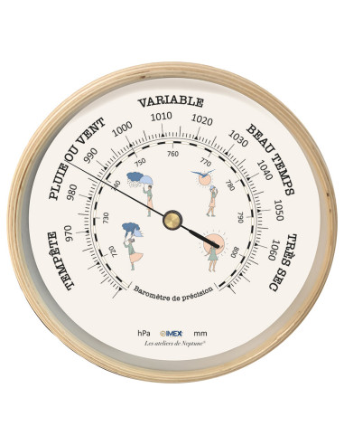 BAROMETER IN A WOODEN CASE