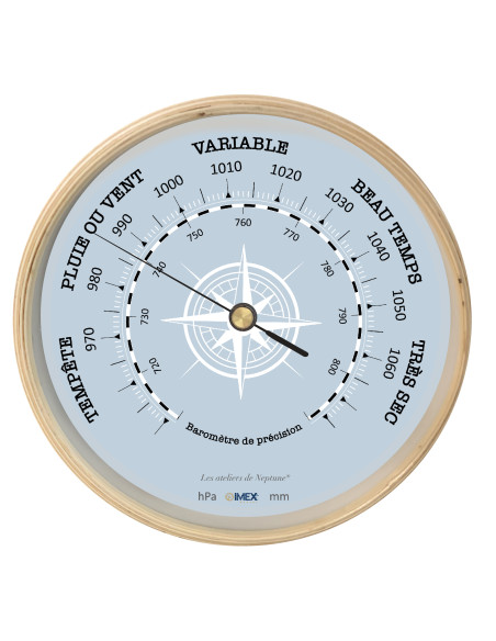 BAROMETER "COMPASS ROSE"